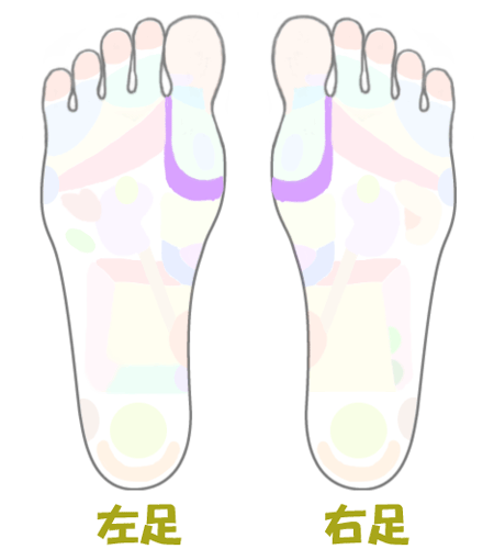 甲状腺に効く足つぼ