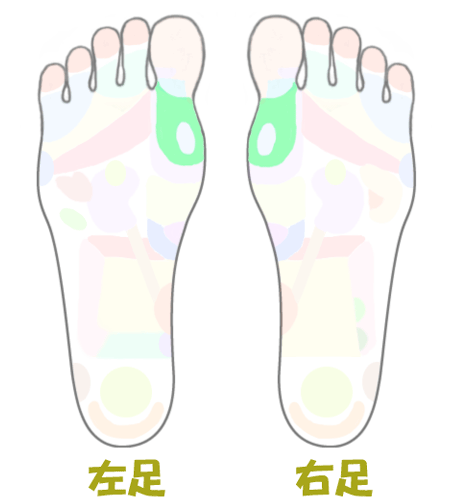 副甲状腺に効く足つぼ