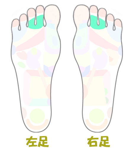 目に効く足ツボ